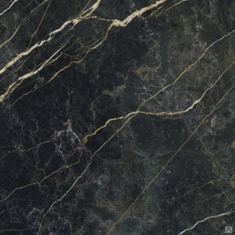 Wacom Forest Pulido Rectificado 120x120