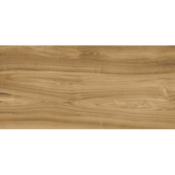 Керамогранит Xlight Ewood Camel Nature 120x250