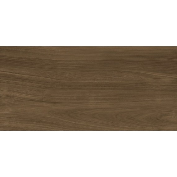 Керамогранит Xlight Ewood Honey Nature 120x250