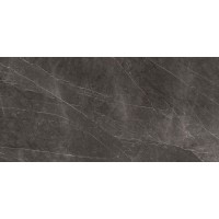 Xlight Savage Dark Polished 120x250