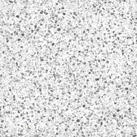 cte-003 Terrazzo White 25x25