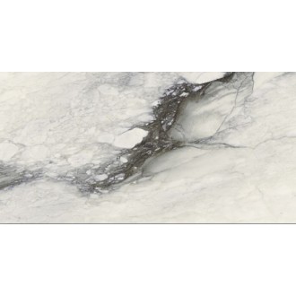 761737 ETOILE RENOIR GLO RET 120X240