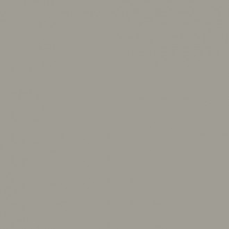 МС 621 Моноколор светло-серый матовая ректифицированный 60х60х10.5