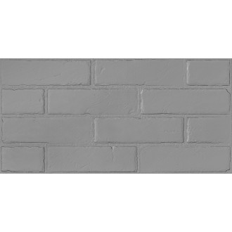 Манчестер 6 серый 30х60