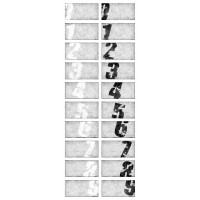 Мегаполис 1С тип 1 микс 60х30