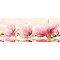 Мираж Декор серо-розовый 20х50