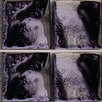 BV13 Beauty 15х15 298х298