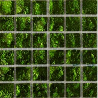 Мозаика Murano Specchio 14 10*10 300*300