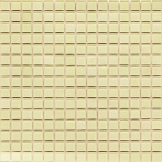 Мозаика TSA22 Transparent 20х20 327х327