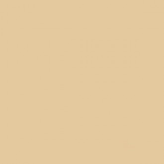 Моноколор 3 бежевый неглазурованный 60x60