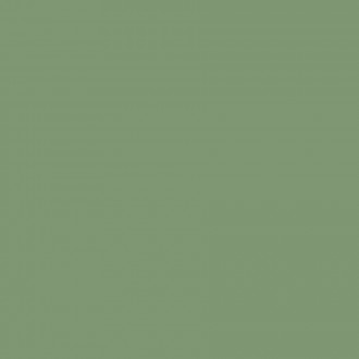 Моноколор 4 зеленый неглазурованный 60x60