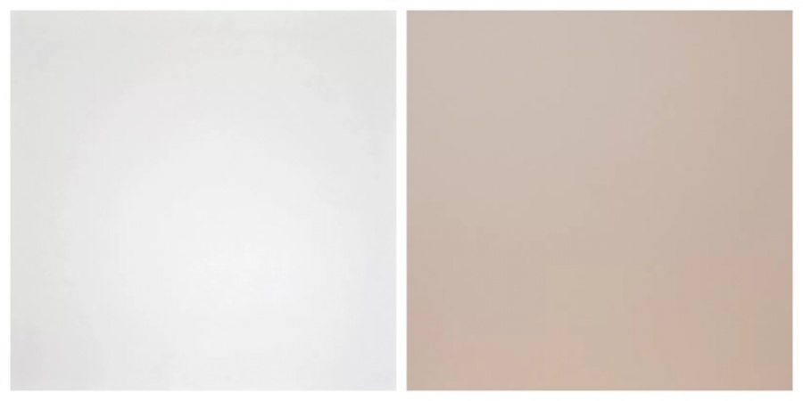 Моноколор Dako