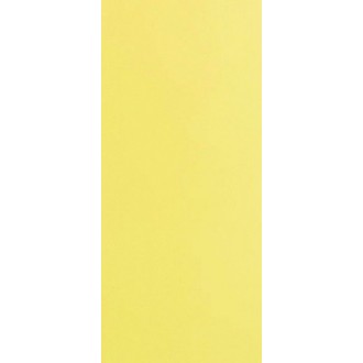 Палитра желтый 20,1x50,5