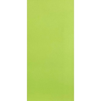 Палитра зеленый 20,1x50,5