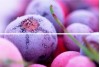 Панно Beveled Tile Frozen berries 20х30