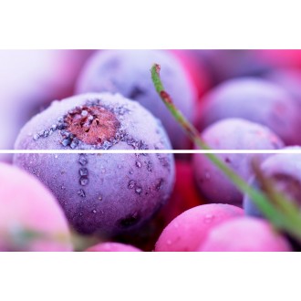 Панно Beveled Tile Frozen berries 20х30