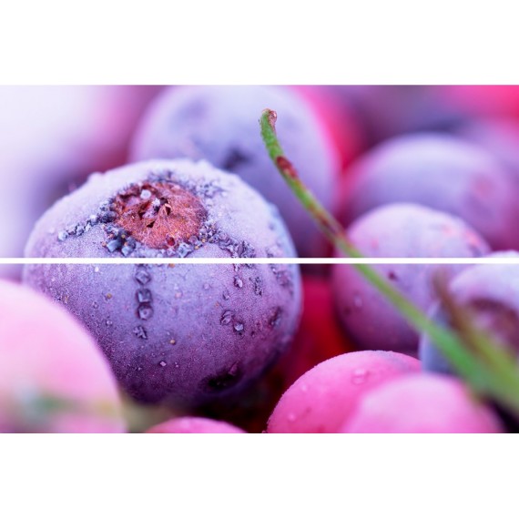 Керамическая плитка Панно Beveled Tile Frozen berries 20х30