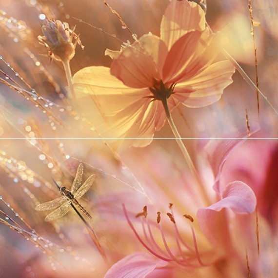 Керамическая плитка Панно Flowers P2-1D205 40х40