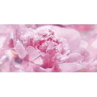 Панно Peony P4D281 80х40