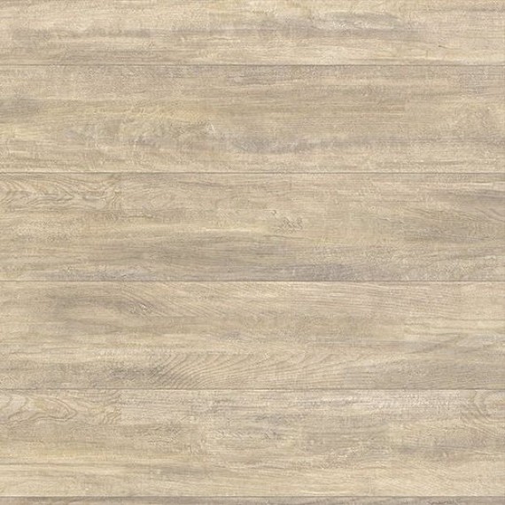 Salsa Art Beige Sunshine DG 194x2283