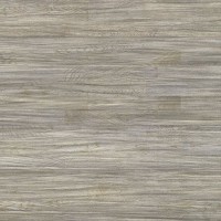 Salsa Art Shades of Grey DG 194x2283