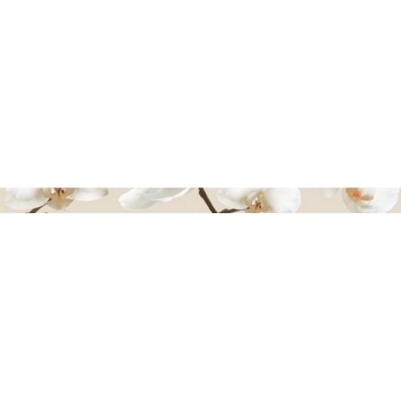 Керамическая плитка Бордюр CENEFA ORQUIDEA S-44 5*75