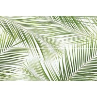 Brennero Tropic (2) 50x75