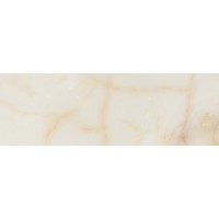 02554 MAJESTIC ONYX RET 40x120