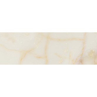 02554 MAJESTIC ONYX RET 40x120