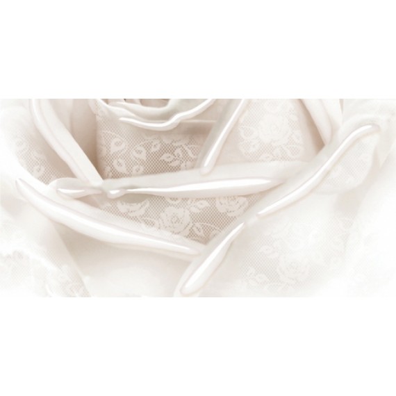 Керамическая плитка 10-05-11-350-2 Нежность бежевый B 50х25