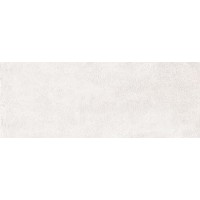Плитка 100156 Rev. RAKU SILVERY 26x60.5