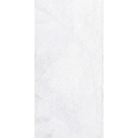 Плитка 1041-0245 Кампанилья серый 20х40