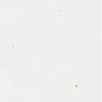 111339 ZELLIGE WHITE 12.5x12.5