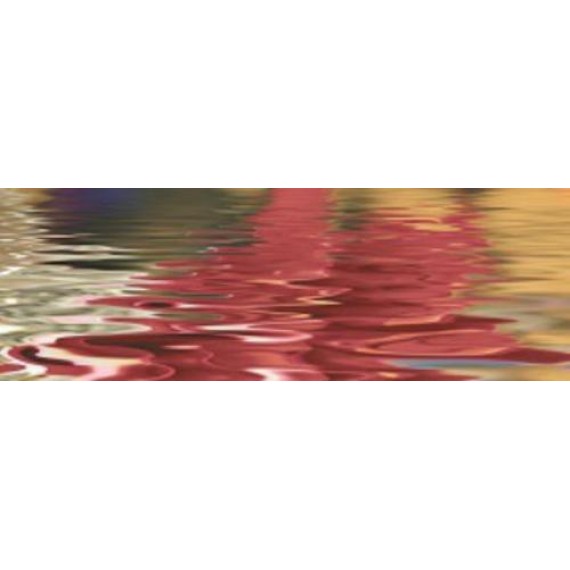 Керамогранит Плитка 14109-11 Brazil Cenefa Flowers 6 Brillo 25x73