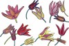 Плитка 16646 TPOP001 Tuli-Pop 1 20x20