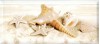 336762 Легенда Starfish 20x45
