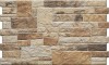 Плитка 6798 Canella Terra 490x300x10