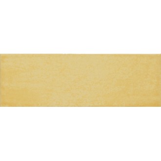 754980 MAIOLICA OCRA 10X30