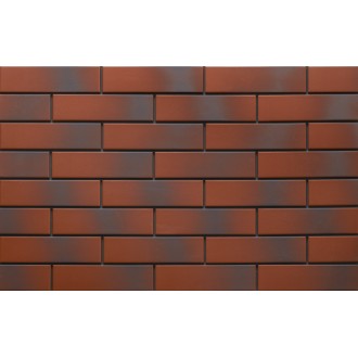 Плитка 9546 Rot 24,5х6,5х0,65