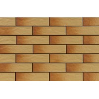Плитка 9768 Gobi elewacja rustiko 245x65x6,5
