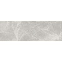 Плитка A035921 SILVER PEARL MATT 25x75