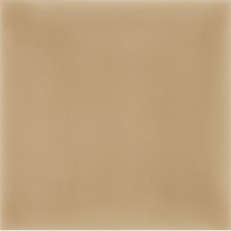 Aleluia Ceramicas A5500 ATELIER Camurca 10х10
