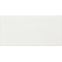 Плитка ADNE1035 LISO PB BLANCO Z 7.5X15