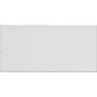 Плитка ADNE1078 LISO PB BLANCO Z 10X20