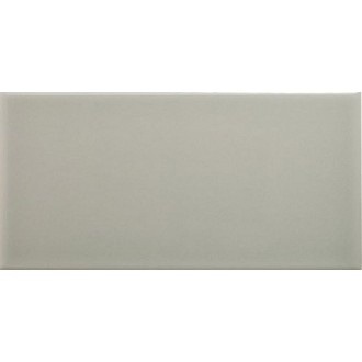 Плитка ADNE1094 LISO PB SILVER MIST 10x20