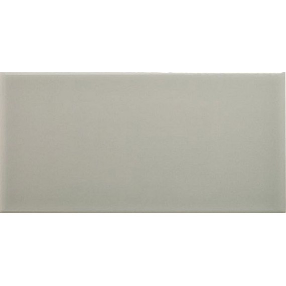 Керамическая плитка ADNE1094 LISO PB SILVER MIST 10x20