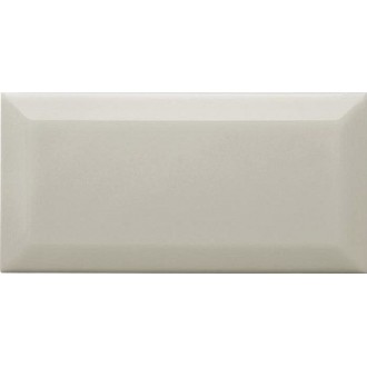 Плитка ADNE2052 BISELADO PB SILVER MIST 10x20