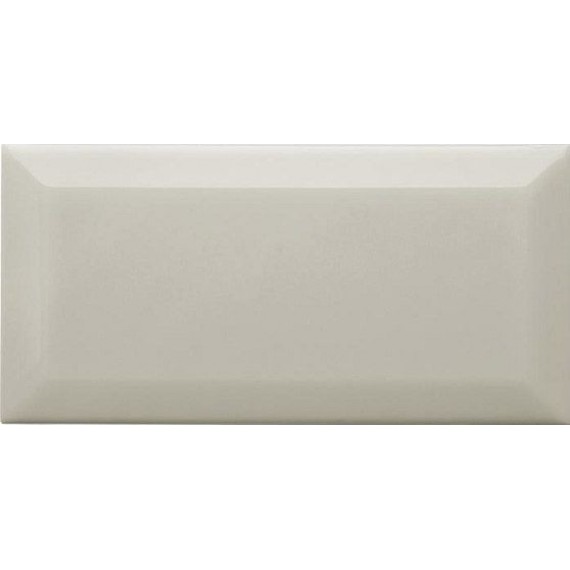Керамическая плитка ADNE2052 BISELADO PB SILVER MIST 10x20