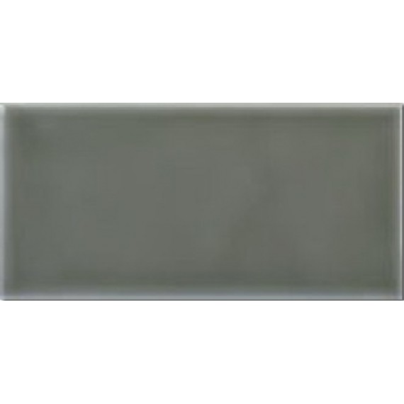 Керамическая плитка ADST1022 LISO EUCALYPTUS 9.8X19.8