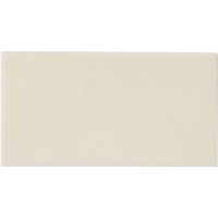 Плитка ADST1048 LISO ALMOND 9,8x19,8